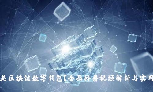 什么是区块链数字钱包？全面科普视频解析与实用指南