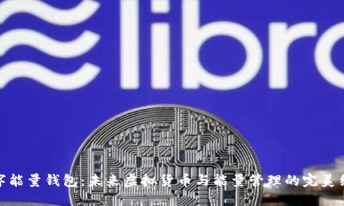 数字能量钱包：未来虚拟货币与能量管理的完美结合