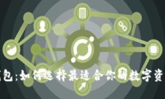 私人数字钱包：如何选择