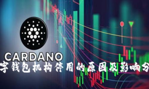 数字钱包机构停用的原因及影响分析