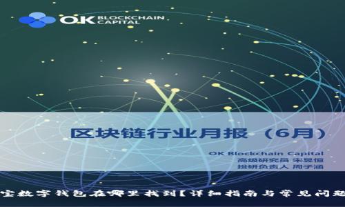 支付宝数字钱包在哪里找到？详细指南与常见问题解答