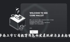 华南上市公司数字钱包的