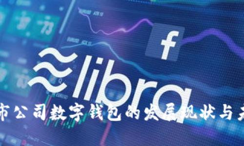 华南上市公司数字钱包的发展现状与未来趋势