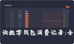 如何查询数字钱包消费记