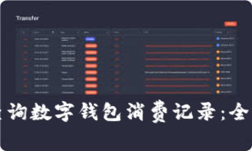 如何查询数字钱包消费记录：全面指南