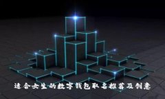 适合女生的数字钱包取名