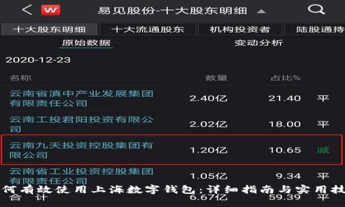 如何有效使用上海数字钱包：详细指南与实用技巧