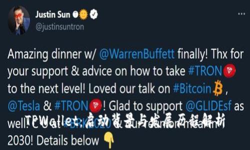 TPWallet：启动背景与发展历程解析