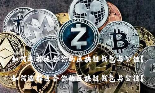 如何选择适合你的区块链钱包与公链？

如何选择适合你的区块链钱包与公链？