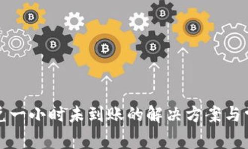 tpwallet闪兑一小时未到账的解决方案与常见问题分析