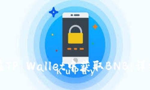 如何在TP Wallet中获取BNB：详细指南