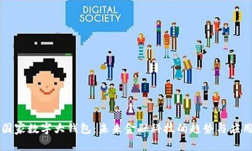 国家数字大钱包：未来金融科技的趋势与应用