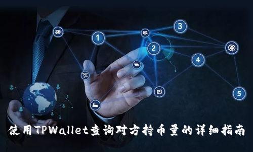 使用TPWallet查询对方持币量的详细指南