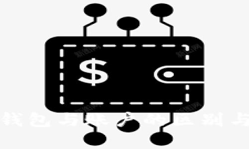 数字货币钱包与账户的区别与选择指南