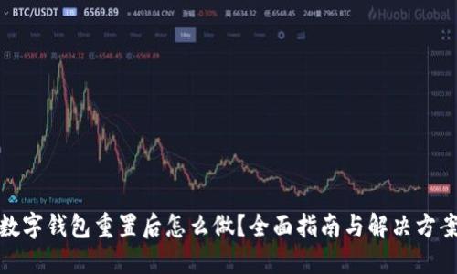 数字钱包重置后怎么做？全面指南与解决方案
