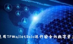 如何使用TPWalletSolo进行安