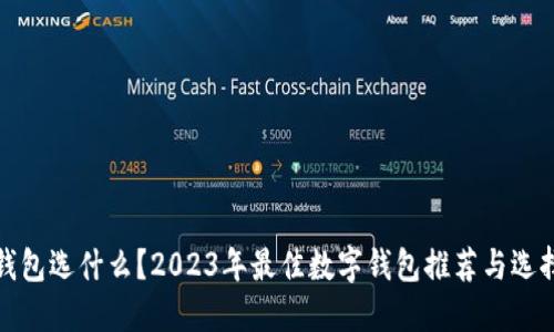 数字钱包选什么？2023年最佳数字钱包推荐与选择指南