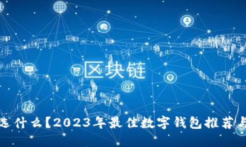 数字钱包选什么？2023年最佳数字钱包推荐与选择指南