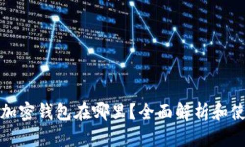 微软的加密钱包在哪里？全面解析和使用指南