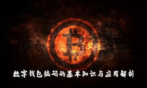 数字钱包编码的基本知识与应用解析