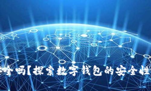 TPWallet安全吗？探索数字钱包的安全性与使用心得
