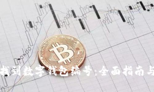 如何找到数字钱包编号：全面指南与技巧