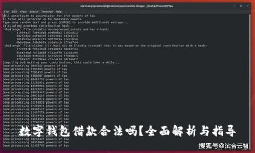 数字钱包借款合法吗？全面解析与指导