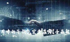 : 数字钱包应用中的子钱包