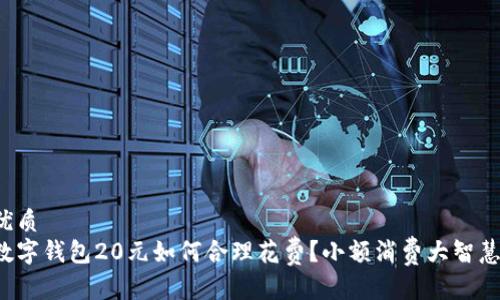 优质
数字钱包20元如何合理花费？小额消费大智慧！