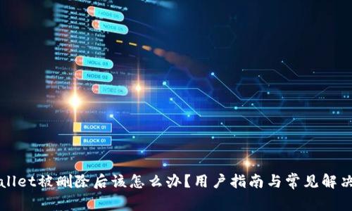 TPWallet被删除后该怎么办？用户指南与常见解决方案