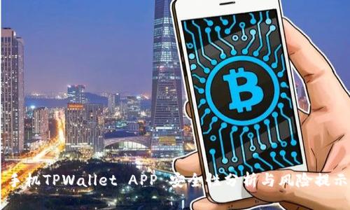 手机TPWallet APP 安全性分析与风险提示