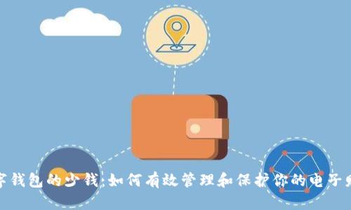 数字钱包的少钱：如何有效管理和保护你的电子财富