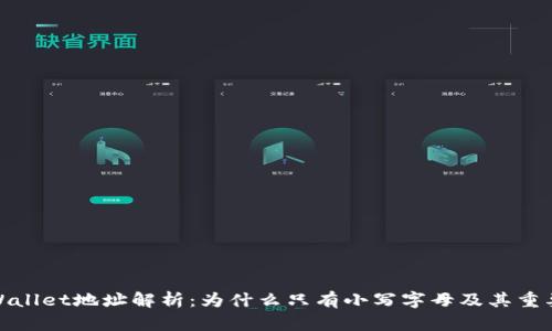 TPWallet地址解析：为什么只有小写字母及其重要性