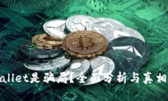 tpwallet是骗局？全面分析与