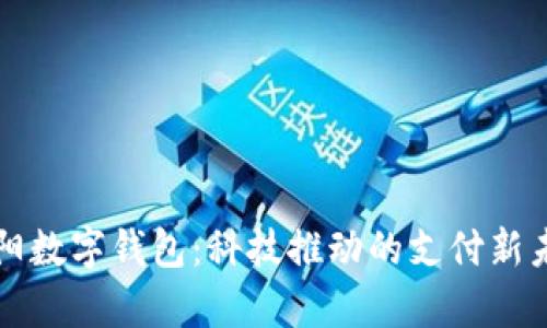 贵阳数字钱包：科技推动的支付新未来