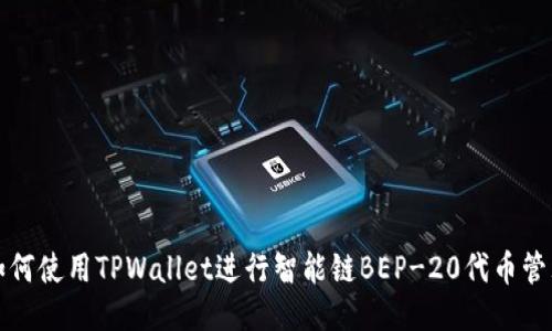 如何使用TPWallet进行智能链BEP-20代币管理