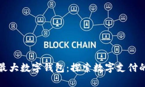 全球最大数字钱包：探索数字支付的未来