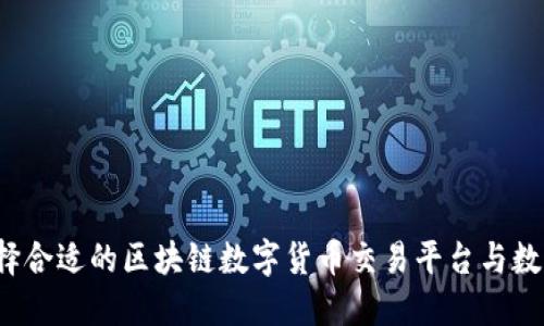 如何选择合适的区块链数字货币交易平台与数字钱包？