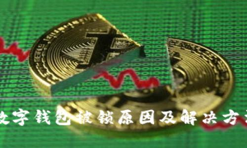 中行数字钱包被锁原因及解决方法详解