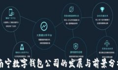 南宁数字钱包公司的发展