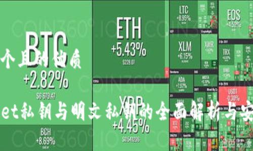 思考一个且的优质

TPWallet私钥与明文私钥的全面解析与安全指南