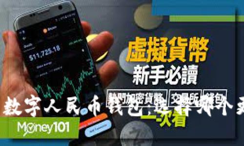 详解建行钱包与数字人民币钱包：选择哪个更符合你的需求？