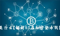 TPWallet中的BT是什么？解析