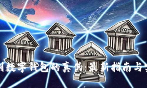 如何辨别数字钱包的真伪：最新指南与实用技巧