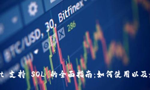TPWallet 支持 SOL 的全面指南：如何使用以及最佳实践