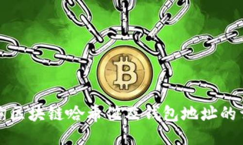 如何查询区块链哈希值及钱包地址的详细指南