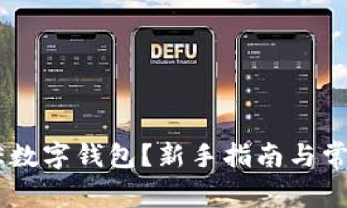 怎么使用AE数字钱包？新手指南与常见问题解答