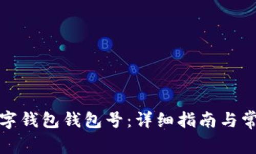如何查询数字钱包钱包号：详细指南与常见问题解答