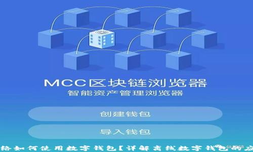 
没有网络如何使用数字钱包？详解离线数字钱包的应用方式