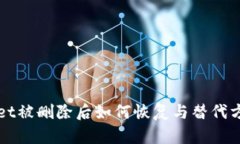 TPWallet被删除后如何恢复与替代方案解析
